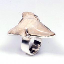 Shark Tooth Ring